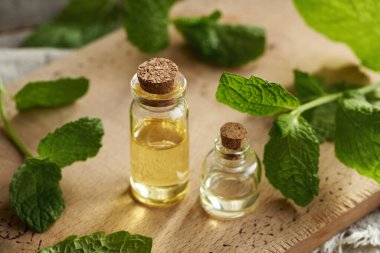 Şeffaf aromaterapi şişeleri taze nane yapraklı gerekli yağ     