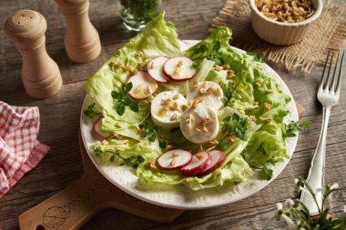 Keçi peynirli sebze salatası, çemen otu filizi ve bahar başında toplanan yenebilir yabani bitkiler - civciv ve yatak samanı