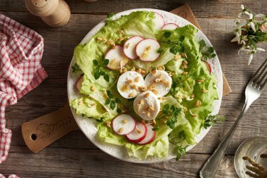 Keçi peynirli sebze salatası, çam ağacı filizleri ve ilkbaharın başlarında hasat edilen vahşi yenilebilir bitkiler - civciv ve yatak örtüsü