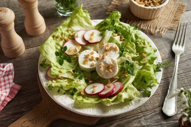 Keçi peynirli sebze salatası, çemen otu filizleri ve baharda hasat edilen yabani otlar - civciv ve yatak örtüsü