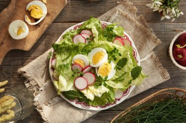 Yumurtalı bahar sebze salatası ve yaban yenilebilir bitkiler - civciv otu, meme ucu ve kiremit otu