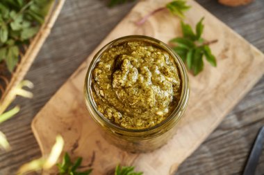 Genç gutweed yapraklarından yapılan ev yapımı yeşil pesto. Baharın başında hasat edilen yenilebilir bir bitki.