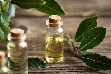 Taze defne yapraklı bir şişe aromaterapi.