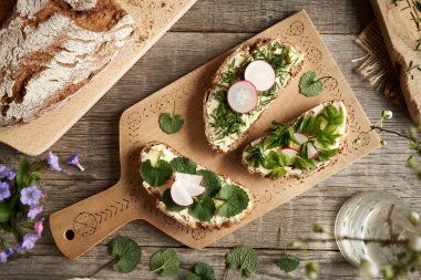 Baharda yenebilir yabani bitkiler - soğan otu, sarımsaklı hardal ve toprak büyüğü, ekşi ekmek dilimleri, üst görünüm