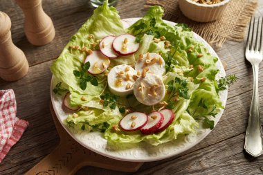 Keçi peynirli sebze salatası, çemen otu filizi ve bahar yenilebilir bitkiler - civciv otu ve yatak samanı