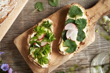 Bahar mevsiminde yenilebilir bitkiler - taze sarımsak hardalı ve toprak yaprakları, ekşi ekmek dilimleri, üst manzara