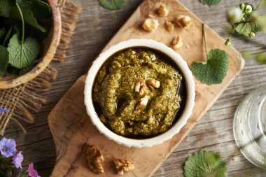 Taze taze sarımsaklı hardal yapraklarından yapılmış bir kase pesto. Baharın başında hasat edilen yenilebilir bir bitki.