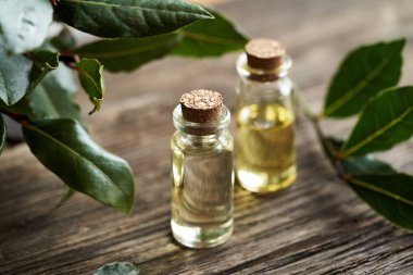 İki şişe aromaterapi esaslı yağ ve ahşap bir masada taze defne yaprağı.