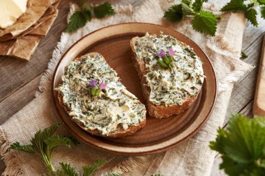 Isırgan otlu tereyağlı iki dilim ekşi ekmek. Baharda yabani yenilebilir bitkilerden yapılan ev yapımı.