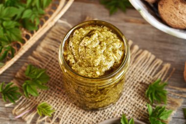 Baharın başında hasat edilen genç gutweed yapraklarından yapılmış ev yapımı yeşil pesto.