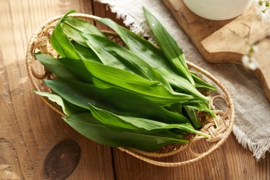 Taze sarımsak ya da Allium ursinum taze yapraklar baharda bir sepetin içinde masanın üzerinde toplanır.