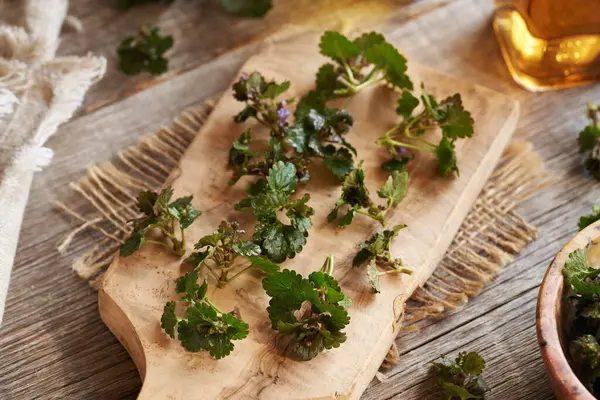 stock image Fresh ground-ivy leaves on a wooden cutting board. Wild edible plant collected in spring.