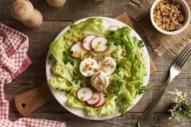 Keçi peynirli sebze salatası, ev yapımı çemen otu filizi ve bahar aylarında hasat edilen yabani otlar - civciv ve yatak örtüsü