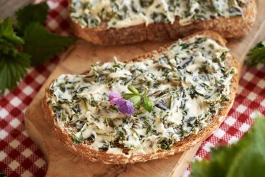 Nettle butter - homemade bread spread made of wild edible plants harvested in spring, on a slice of sourdough bread clipart
