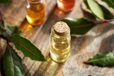 Şeffaf cam bir aromaterapi şişesi ahşap bir masada taze defne yaprağı ile gerekli yağ