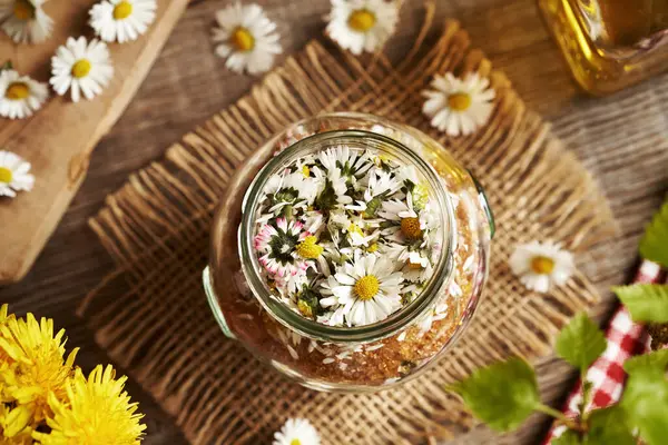 Bocal Rempli Fleurs Marguerite Fraîche Sucre Canne Préparation Sirop Herbes — Photo