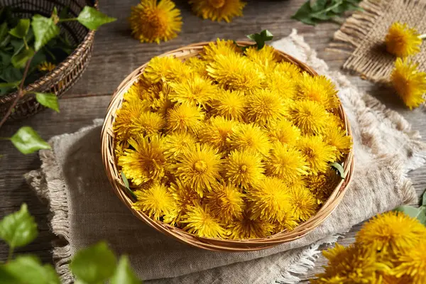 Φρέσκα Λουλούδια Πικραλίδας Ένα Ψάθινο Καλάθι Συστατικό Για Φυτικό Σιρόπι — Φωτογραφία Αρχείου