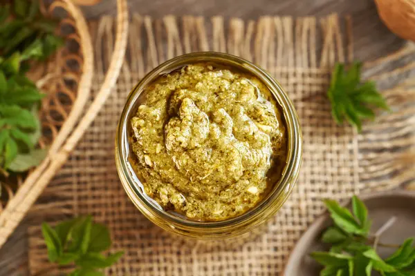 Genç gutweed yapraklarından yapılmış ev yapımı yeşil pesto. Baharın başında yetişen, yenilebilir bir bitki.