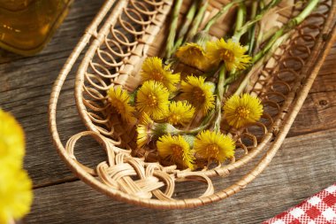 Taze Coltsfoot çiçeklerini bir sepetin içinde, masanın üstünde kapat.