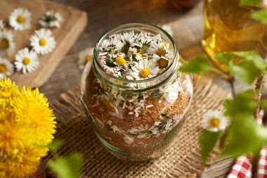 Taze papatya çiçekleri ve şeker dolu bir kavanoz ev yapımı bitkisel şurup.