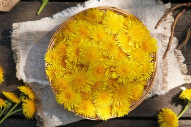 Hasır sepetin içinde karahindiba çiçekleri. Tahta bir masa üzerinde taze Taraxacum kökü, üst manzara.