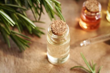 Şeffaf bir şişe aromaterapi taze biberiye bitkisiyle gerekli yağ.