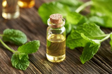 A glass bottle of aromatherapy essential oil with fresh peppermint leaves     