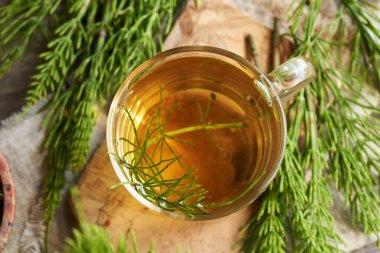 A cup of herbal tea with fresh horsetail twigs, top view. Medicinal plant.