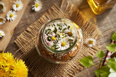Ev yapımı bitkisel şurup hazırlamak için taze papatya çiçekleri ve şeker dolu bir kavanoz.