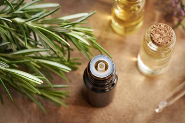 Taze biberiye bitkisi içeren bir şişe aromaterapi yağı.