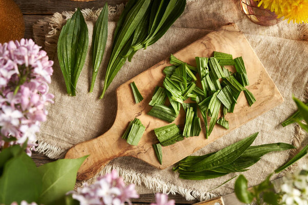 Нарезанные свежие листья банана - ингредиент для домашнего травяного сиропа против кашля