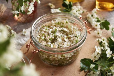 Cam bir kavanozda taze dikenli çiçek ve alkol yüzünden kalp için bitkisel tentürlerin hazırlanması