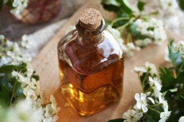 Bahar mevsiminde taze şahin ya da Crataegus laevigata çiçekli şeffaf cam bir bitki teni şişesi.