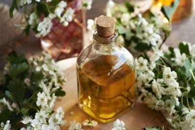 Hawthorn ya da Crataegus laevigata çiçek kabı masanın üzerinde cam bir şişede