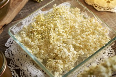 Bahar mevsiminde toplanan taze mürver çiçekleri suda eriyor - ev yapımı bitkisel şurubun hazırlanması