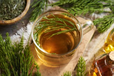 Taze at kuyruğu dallı bir bardak bitki çayı. İlaç fabrikası..