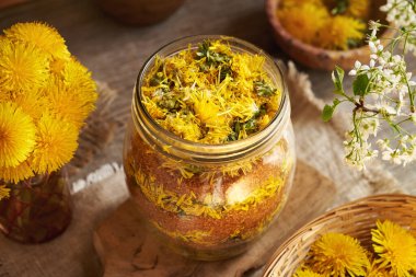 Taze çiçekler ve esmer şekerden karahindiba şurubu hazırlamak. Bitkisel ilaçlar.