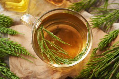 Taze at kuyruğu yapraklı bir fincan bitki çayı, üst manzara. İlaç fabrikası..