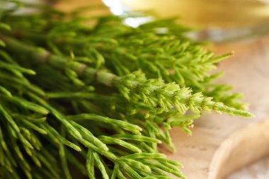 Taze at kuyruğu fabrikasını kapatın. Bitkisel ilaçlar.