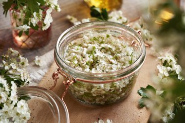 Cam bir kavanozda kalp için dikenli çiçek tentürü yapıyorum.