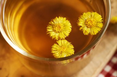 Taze sarı tay ayağı ya da bir fincan bitkisel çayda Tussilago çiçeği.