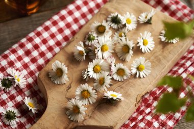 Kesme tahtasında taze papatya çiçekleri - bitkisel şurup için malzeme