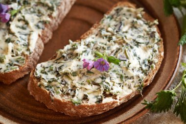 Isırgan otu tereyağlı bir dilim ekmek. Baharda toplanan yabani yenilebilir bitkilerden yapılmış ev yapımı.