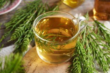 A cup of herbal tea with fresh horsetail plant on a wooden table