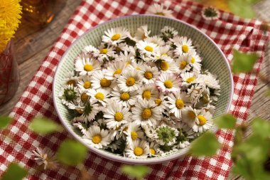 Masadaki bir kasede papatya çiçekleri. Şurup için İçindekiler.