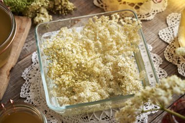 Baharda suda toplanan taze mürver çiçekleriyle ev yapımı bitkisel şurup hazırlıyorum.