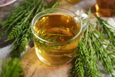 A cup of herbal tea with fresh horsetail plant on a wooden table