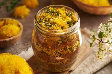 Taze çiçeklerden karahindiba şurubu yapmak ve kavanozda şeker kamışı yapmak