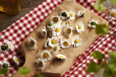 Taze papatya somurtuyor bir masanın üzerindeki tahta kesme tahtasında