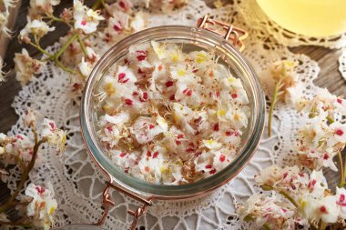 At kestanesi çiçekleri ve alkolle dolu bir kavanoz. Ev yapımı bitkisel tentürler.